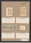 Navicula notabilis Grev. (de-Toni-Nr.: Genus 1, Species 808) Zeichnungen Sammlung Grunow Nr. 1314 (NHMW-BOT-W0367985)